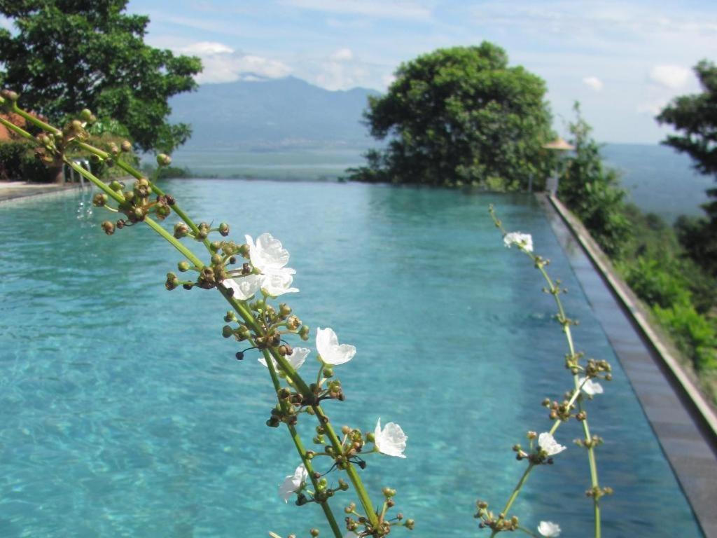 D'emmerick Salib Putih Hotel Salatiga