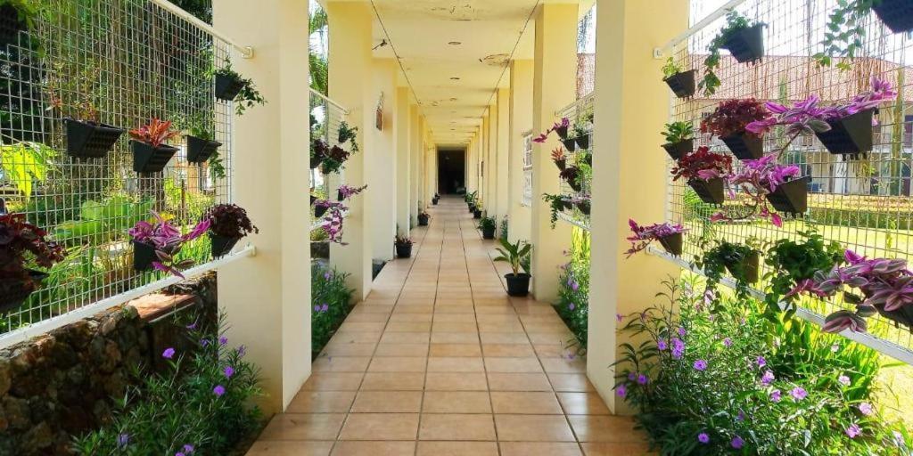 Hotel D'emmerick Salib Putih 3*