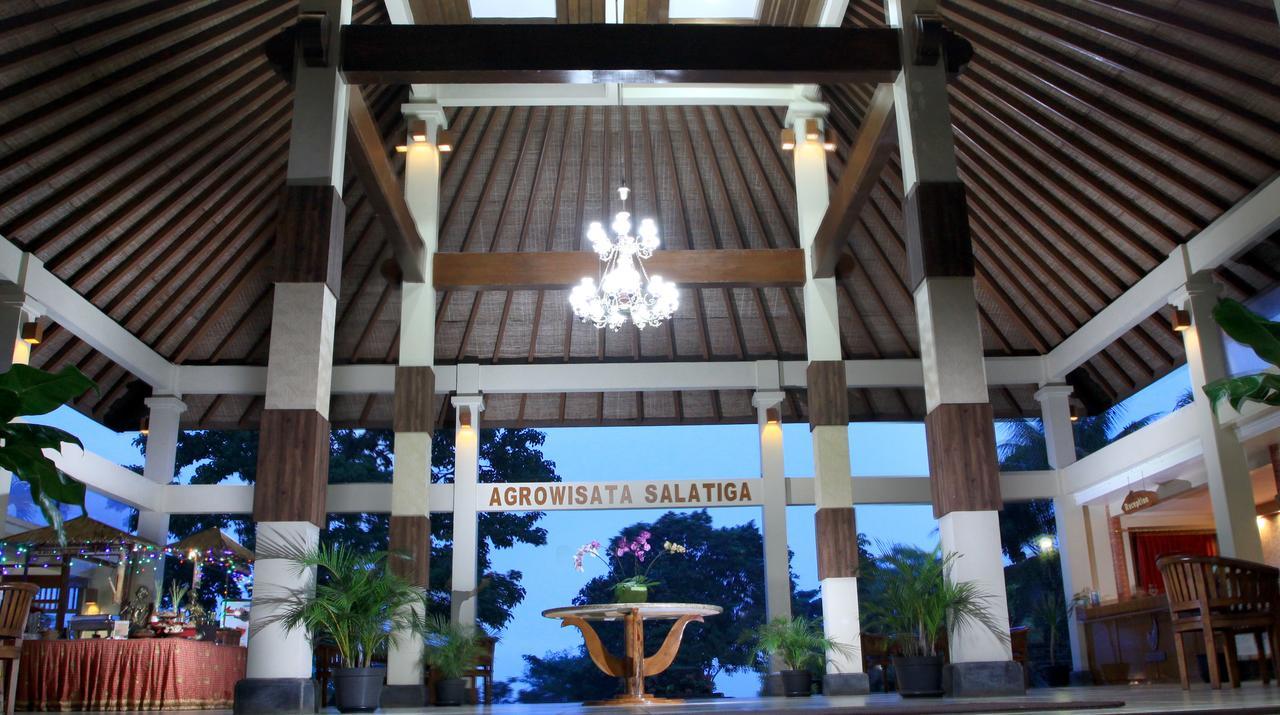 Hotel D'emmerick Salib Putih